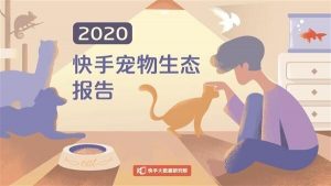 快手宠物生态报告:活跃宠物作者数量达7.5 万,观众数量超 1 亿-科记汇