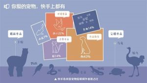 快手宠物生态报告:活跃宠物作者数量达7.5 万,观众数量超 1 亿-科记汇