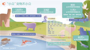 快手宠物生态报告:活跃宠物作者数量达7.5 万,观众数量超 1 亿-科记汇