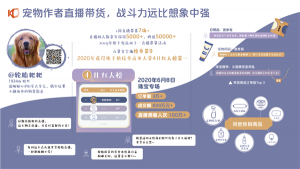 快手宠物生态报告:活跃宠物作者数量达7.5 万,观众数量超 1 亿-科记汇