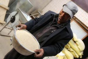 青藏高原新农人在拼多多上卖藜麦，年销千万创造当地电商神话-科记汇