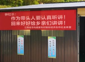 乡亲们，美团有了一个计划-科记汇